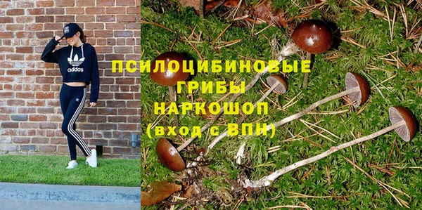 крисы Аркадак