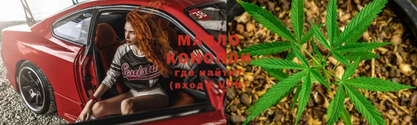 крисы Аркадак