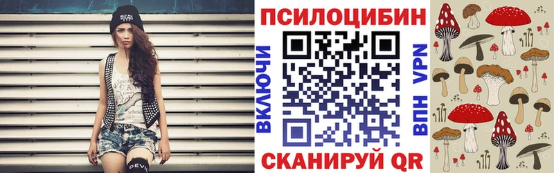 Галлюциногенные грибы Magic Shrooms  где купить наркоту  Новоузенск 